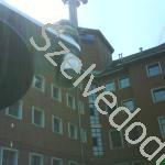 DSC01339
